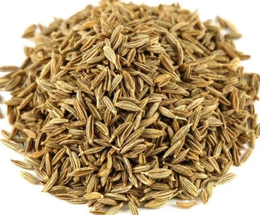 Cumin (Jeera)