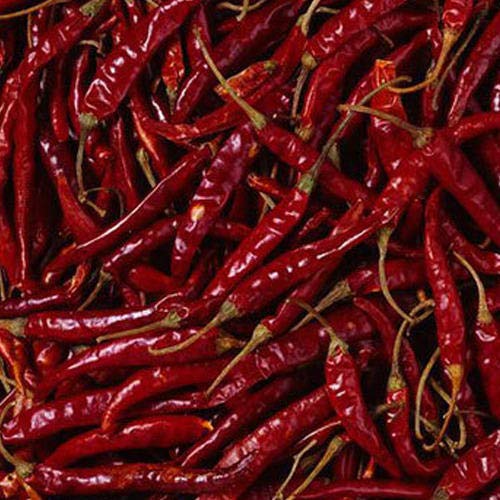 Red chilli (Guntur Mirch)