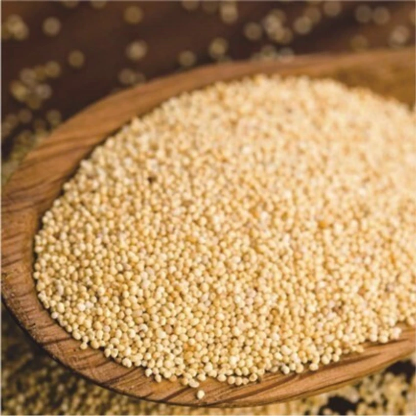 Poppy seeds (Posta)